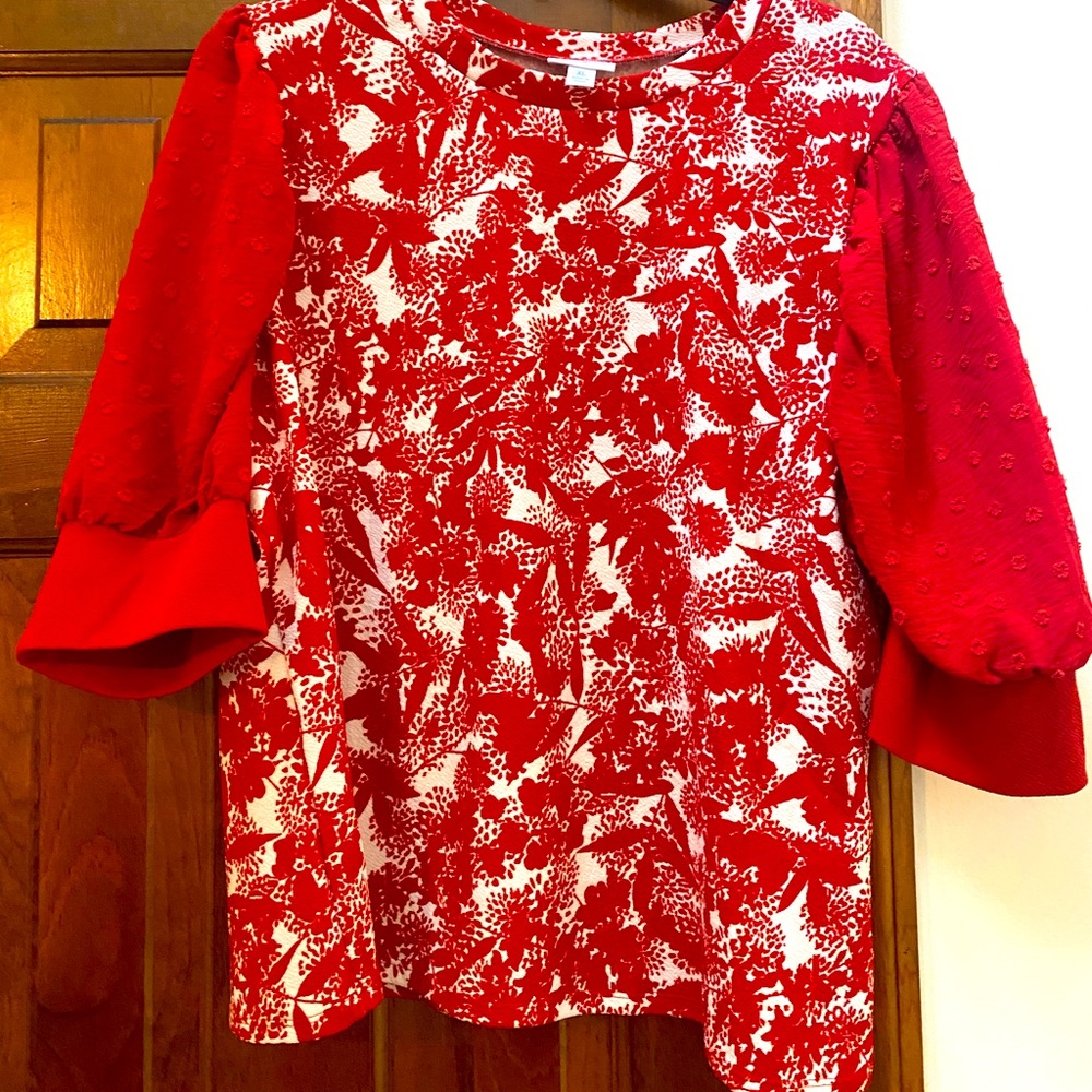 Lularoe Motorola blouse